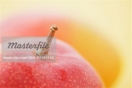 Close Up Of Apple Mango