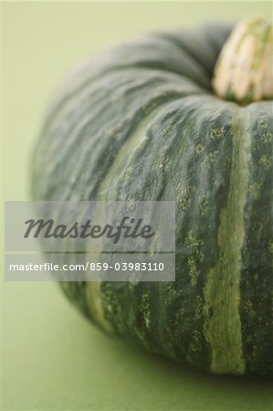 Close Up Of Green Pumpkin