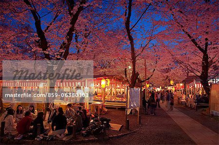 Hanami In Kyoto, Japan