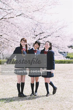 Japanese schoolgirls in their uniforms with cherry blossoms in the background