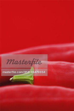 Chilli peppers on red background