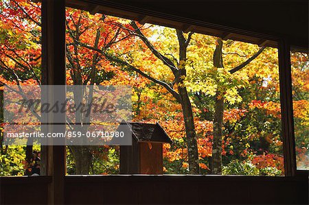 Japanese Garden at Showa Kinen Park, Tokyo