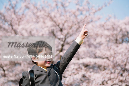 Young boy in school uniform between cherry trees