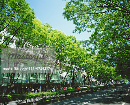 Omotesando Hills, Tokyo, Japan