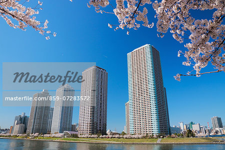 Sumida River, Tokyo, Japan