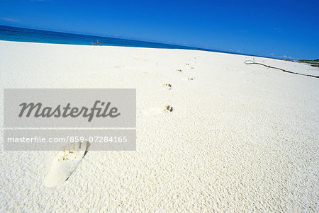 Footprint, Seychelles