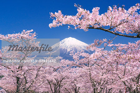 View of Mount Fuji, Japan