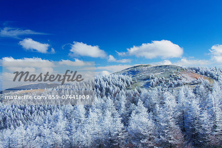 Nagano Prefecture, Japan