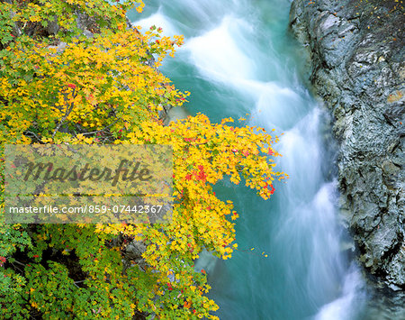 Tochigi Prefecture, Japan