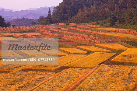 Yamagata Prefecture, Japan