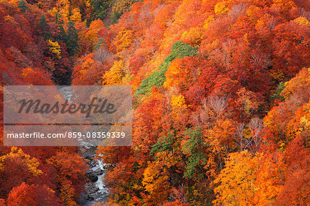 Aomori Prefecture, Japan