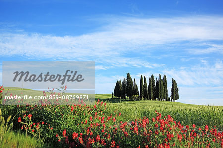 Italy, Tuscany, Toscana, Orcia Valley, Val d'Orcia, UNESCO World Heritage Italy, Tuscany, Toscana, Orcia Valley, Val d'Orcia, UNESCO World Heritage