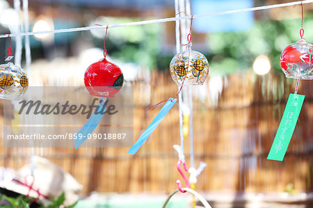 Wind chimes at alkekengi Market, Tokyo, Japan