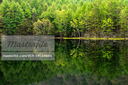 Nagano Prefecture, Japan