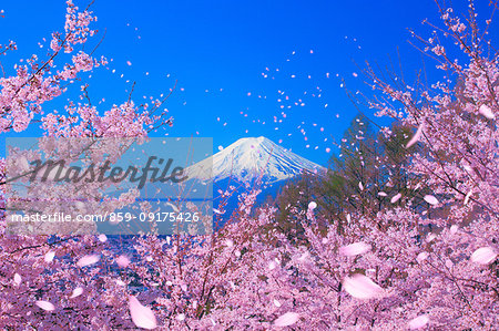 Mount Fuji from Yamanashi Prefecture, Japan