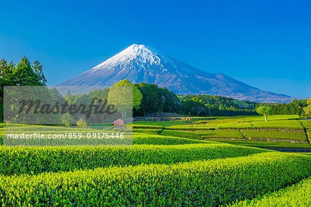 Mount Fuji from Shizuoka Prefecture, Japan Mount Fuji from Shizuoka Prefecture, Japan