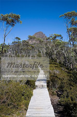 A boardwalk leads towards Barn Bluff on the Overland Track