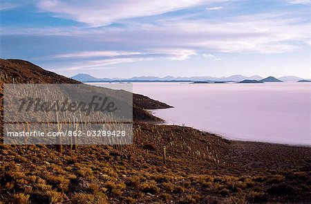 View from the top of Isla de Pescado (Fish Island) across the Salar de Uyuni,the largest salt flat in the world.