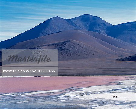 A group of tourists walk along the fringe of Laguna Colorada. The distinctive red colour of this high altitude lagoon is due to the high concentration of algae whilst deposits of borax form a white fringe to the lake. Colorada is the biggest nesting site of the rare James flamingo and also hosts large concentrations of Chilean and Andean flamingos.