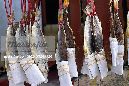 Salt fish hangs in the streets of Tai O,a fishing village on the west coast of Lantau Island,Hong KongAndrew Watson