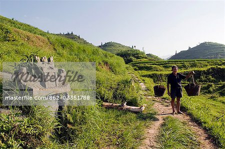China,Guangxi Province,Longsheng Dragon's Backbone Rice Terraces near Guilin.