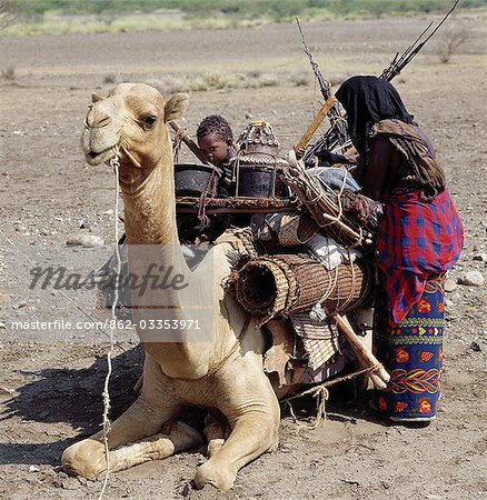 An Afar Woman Adjusts The Load On Her Camel As Her Young Child Sits On Top