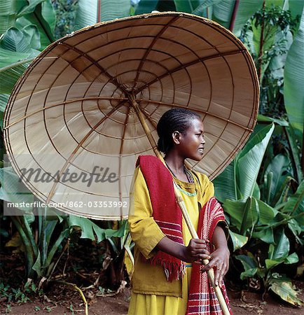 An attractive girl from the Kediyo tribe carries a large,beautifully made umbrella. Its wooden frame is covered with the dried leaves of ensete,the false banana plant (seen growing in the background). Widely cultivated in southern Ethiopia,ensete roots and stems,which are rich in carbohydrates,are either cooked and eaten as a porridge or made into bread.