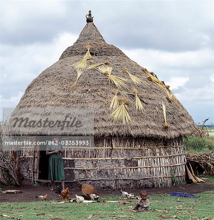 A homestead of the Arsi-Oromo people west of Aje. The old pot placed over the centre pole of the house is a common roof decoration,and keeps out rain. Small bunches of Teff,a small-grained cereal,are being dried on the thatch.Teff is grown extensively in Ethiopia and is used to make injera,a fermented,bread-type pancake,which is the country's national dish.