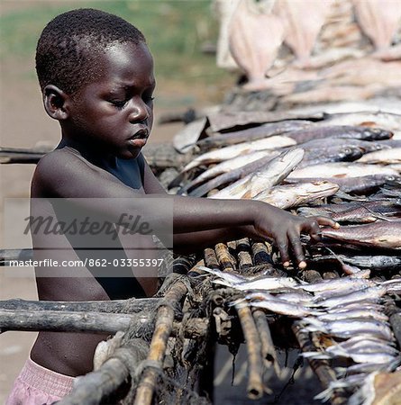 Small fish caught in Lake Albert,including tilapia (Tilapia nilotica) and  mpoi (Citheriaus citherus),are sun