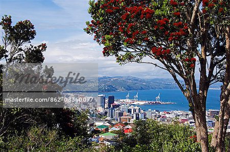 New Zealand,North Island,Wellington. Panoramic city centre view from Mt Victoria.