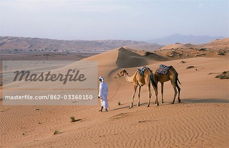 A Bedu leads his camels through the sand dunes in the desert