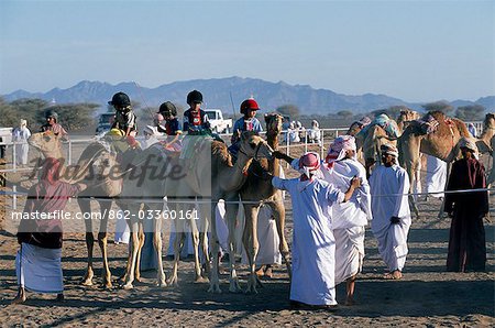 Arab camel handlers lead camels and jockeys into line ready for the start of a race at Al Shaqiyah camel race track.