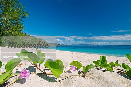 South Pacific,Fiji,Kadavu. Deserted beach on the east coast of Yaukuve Island.