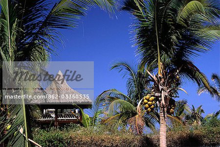 A resort hut sits amidst coconut palms,overlooking the beach sands at Mancora,in northern Peru