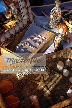 Seashell souvenirs set out for tourists visiting the Peruvian beachside village of Mancora,on Peru's north coast.