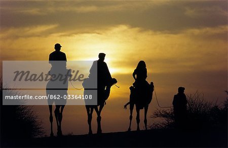Camel trekkers in the Saharan sands near Timbuktu