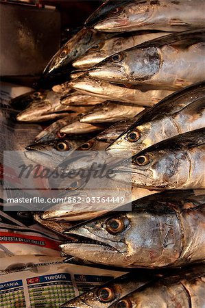 Mexico,Mexico City. Fish at Azcapotzalco market in Mexico City.