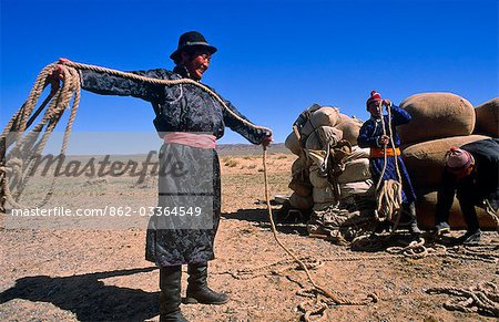 Mongolia,Gobi Desert. Preparing wool for transporting on camels in the Gobi Desert.