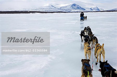 Norway,Troms,Lyngen Alps. Travel over the mountains of the Lyngen Alps via dog sled guided by veteran explorer Per Thore Hansen.