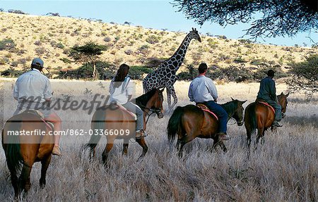 Guests view game from horseback at Wilderness Trails,Lewa Downs.