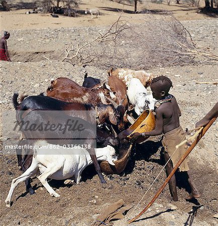 Turkana women and girls are responsible for watering livestock,which is unusual among pastoral societies. Here,a young girl waters goats from a waterhole dug in the sand of a seasonal watercourse. Her young brother will control the flow of stock to the water trough. In the background,a man digs out another waterhole; they have to been deepened regularly towards the end of the dry season.