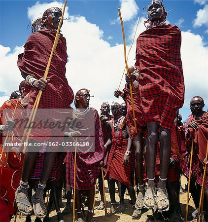 During their dances,Maasai warriors take turns to leap high in the air from a standing position without bending their knees. They achieve this by flexing their ankles in a seemingly effortless way .