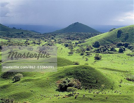 Cone-shaped hills dot the landscape on the 7,000-foot-high Chyulu Hills. This beautiful range is of relatively young volcanic origin.