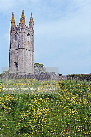 Buttercups in front of Widecombe-in-the-Moor Church,Dartmoor