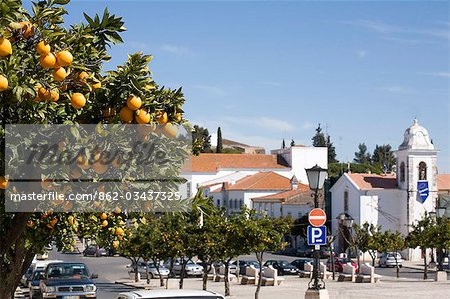 Portugal,Alentejo,Vila Vicosa. It is spring in the small town of Vila Vicosa in the Alentejo region of Portugal. An orange tree over looks the high street. The town is commonly referred to as a 'marble town'. The pavements and the road signs are made of white marble.