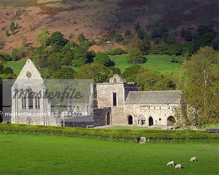 Wales,Denbighshire,Llangollen. The striking remains of Valle Crucis Abbey,a Cistercian monastery founded in 1201 AD and abandoned at the Dissolution of the Monasteries in 1535AD.