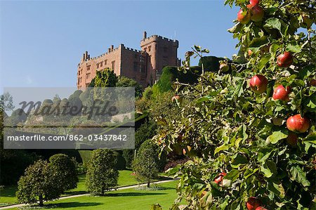 Wales; Powys; Powis Castle. View past teh apple trees of the Formal Garden up to Powis Castle.