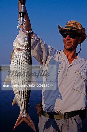 Zambia,Lower Zambezi National Park. A fine tiger fish caught on the Zambezi River.