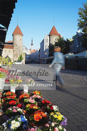 Estonia, Tallinn, Florists Outside Eastern City Wall