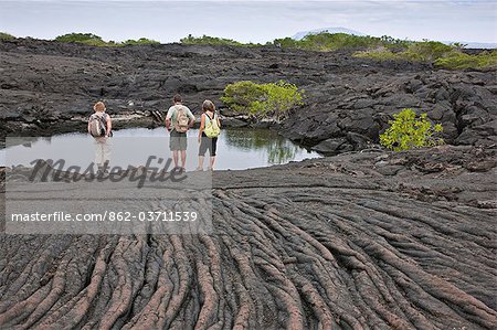 Galapagos Islands, A lava rock pool beside  pahoehoe  lava (named after the Hawaiian for  rope') on Fernandina Island.